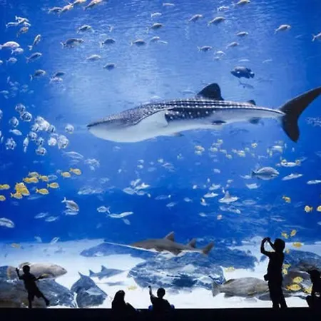 Beachfront With Open Terrace In Canteras Las Palmas de Gran Canaria