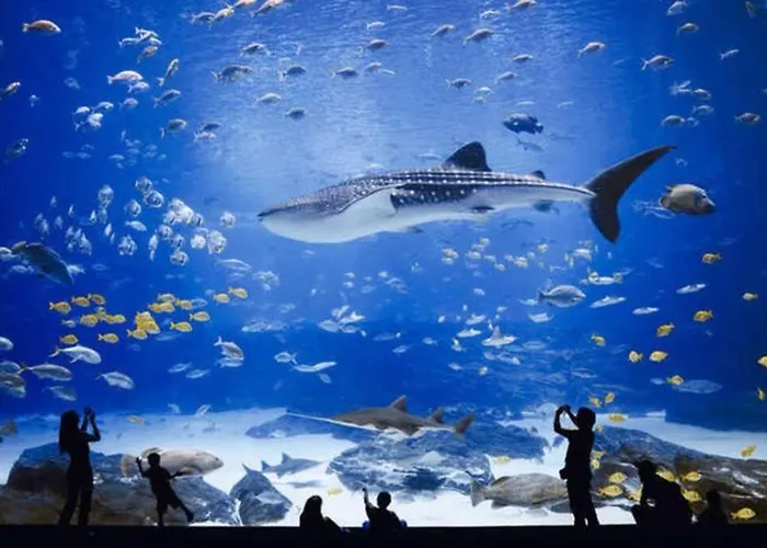 Beachfront With Open Terrace In Canteras Las Palmas de Gran Canaria